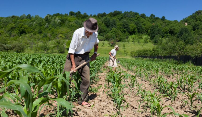 GoiásFomento Capacita Agro Crédito Rural