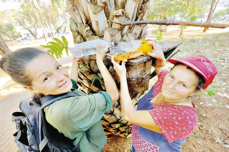 irmãs alimentam