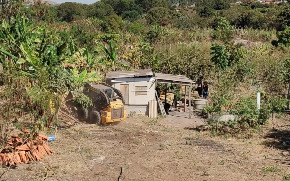 grupo desmatar preservação ambiental