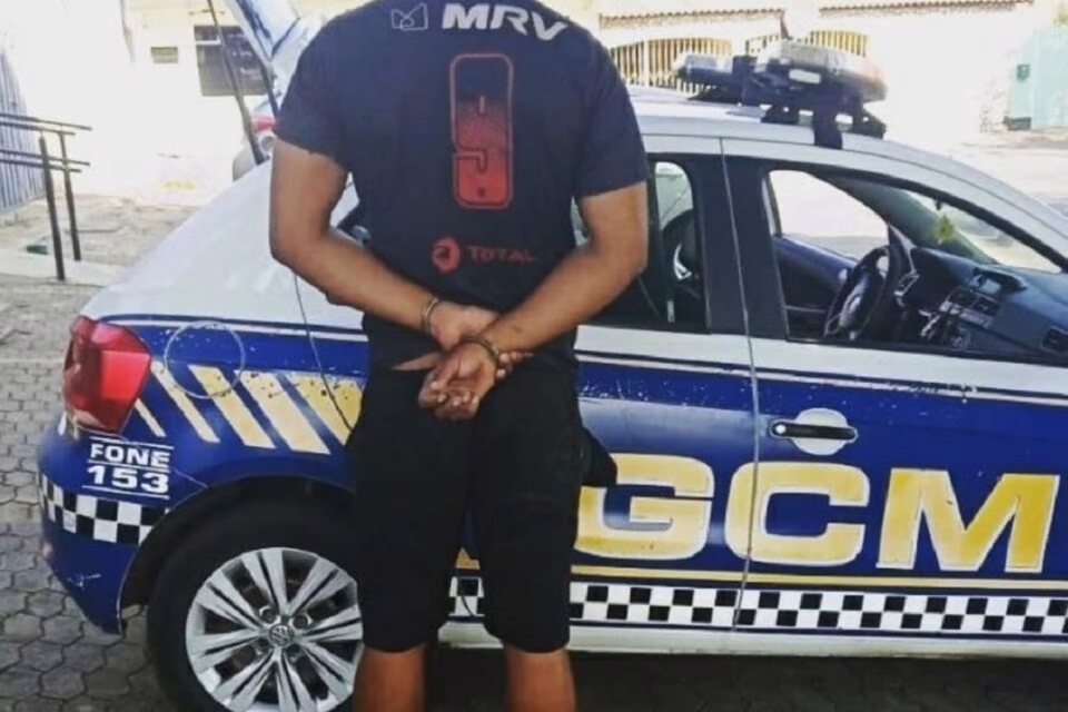 órgão genital