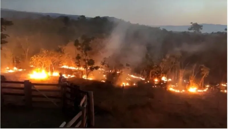 chapada dos veadeiros